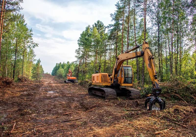 Land Clearing