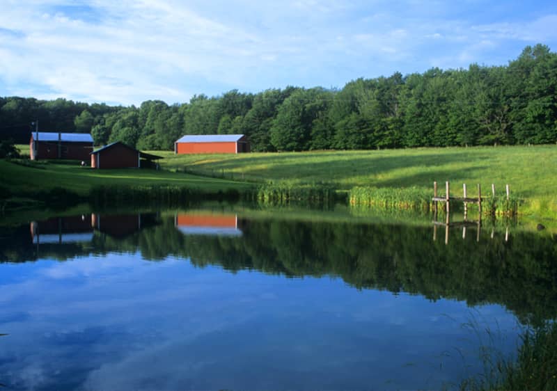 Pond Construction